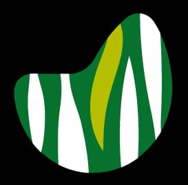 IES